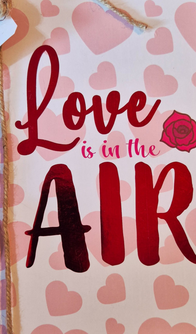 LIBRETA SAN VALENTIN