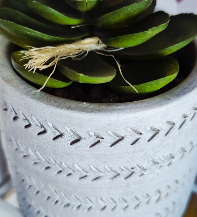 MACETA CON PLANTA