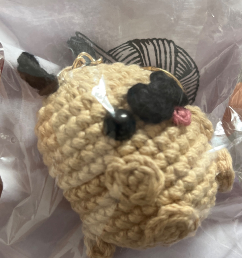 Llavero pug